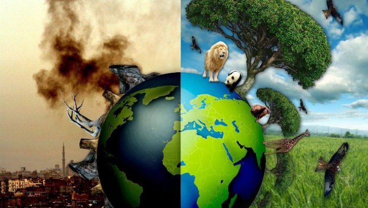 TEMA’dan geçen yıla ‘çevresel’ bakış! 2023’ü öne çıkan iyi ve kötü çevre olayları…