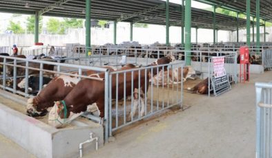 Kocaeli’de kurban satışı için ön kayıtlar başladı