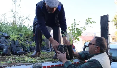 Konya’dan çiftçiye sumak desteği